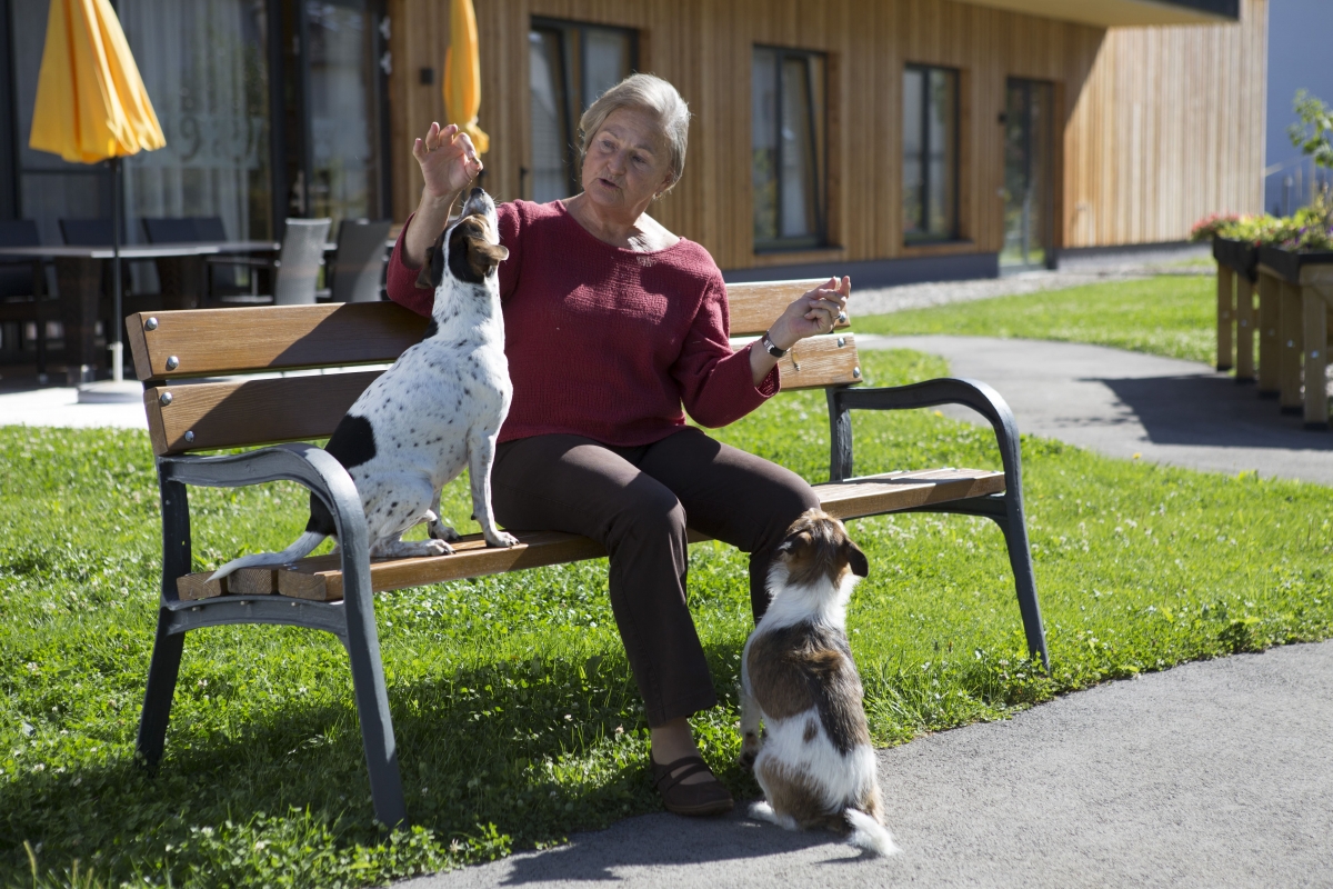 Sozialzentrum Traiskirchen